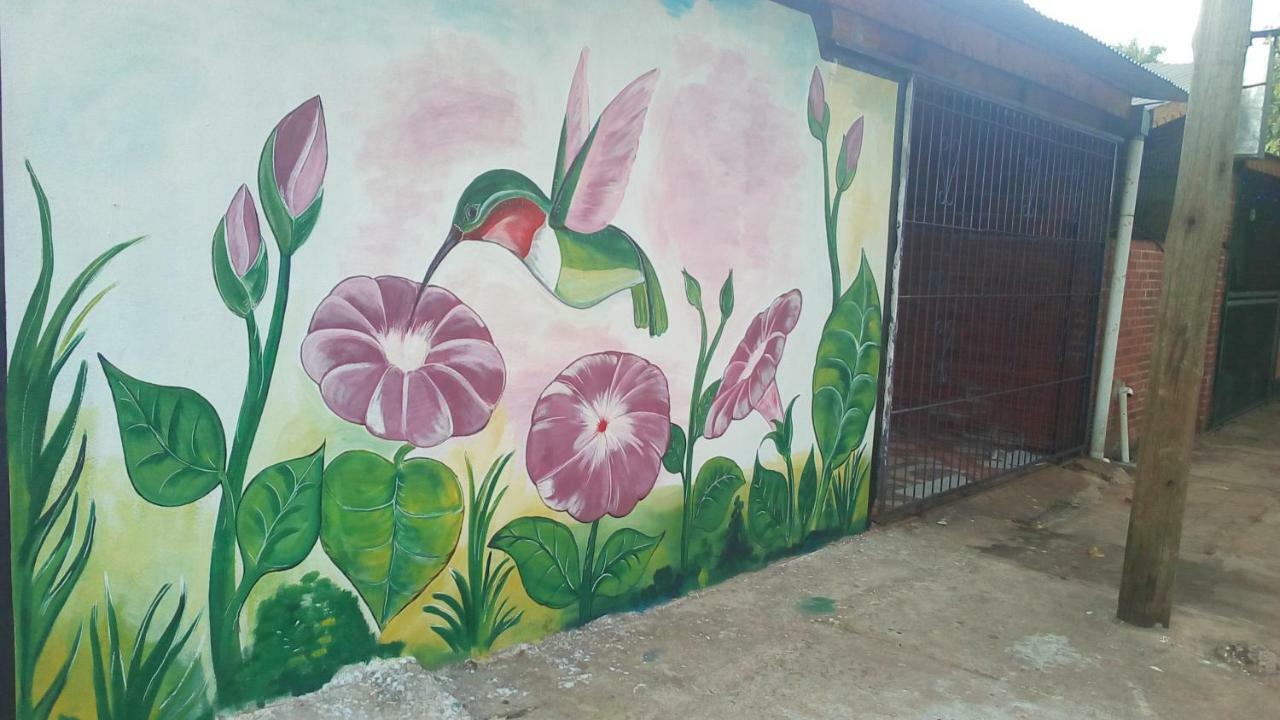 Alojamiento Picaflor Iguazu Hostel Πουέρτο Ιγκουασού Εξωτερικό φωτογραφία