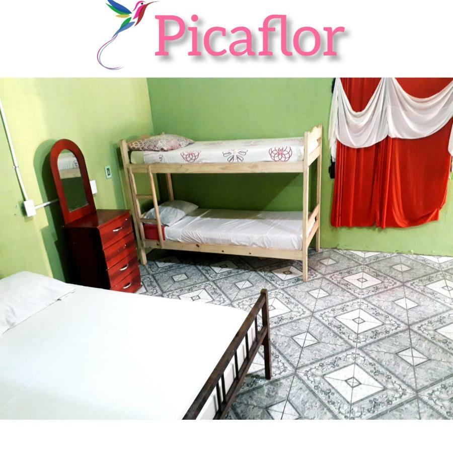 Alojamiento Picaflor Iguazu Hostel Πουέρτο Ιγκουασού Εξωτερικό φωτογραφία